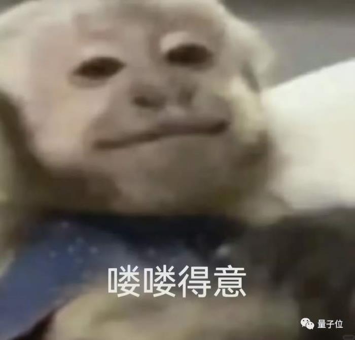 北大最新多模态大模型开源:混合数据集训练,图像视频任务直接用