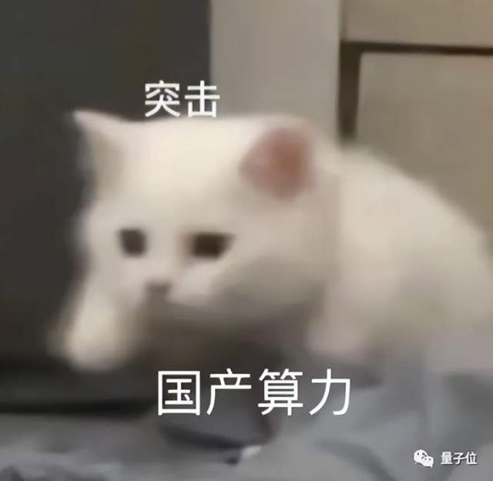如果没有AI算力,大模型这场战役我们可能胜不了