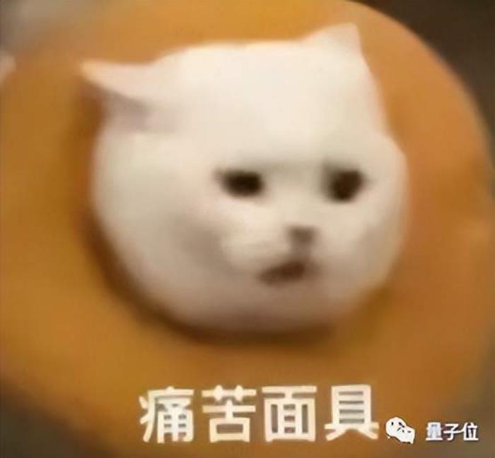 如果没有AI算力,大模型这场战役我们可能胜不了