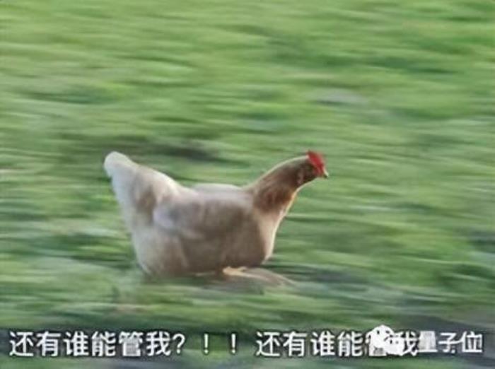 首个GPT-4驱动的人形机器人!无需编程+零样本学习,还可根据口头反馈调整行为