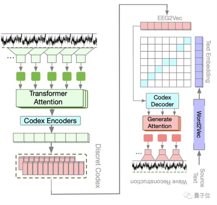 华人团队用大模型实现“读心术”:大脑活动直接变文字 | NeurIPS 2023