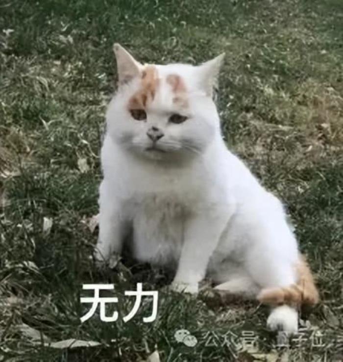Ilya离开OpenAI内幕曝光:奥特曼砍他团队算力,优先搞产品赚钱