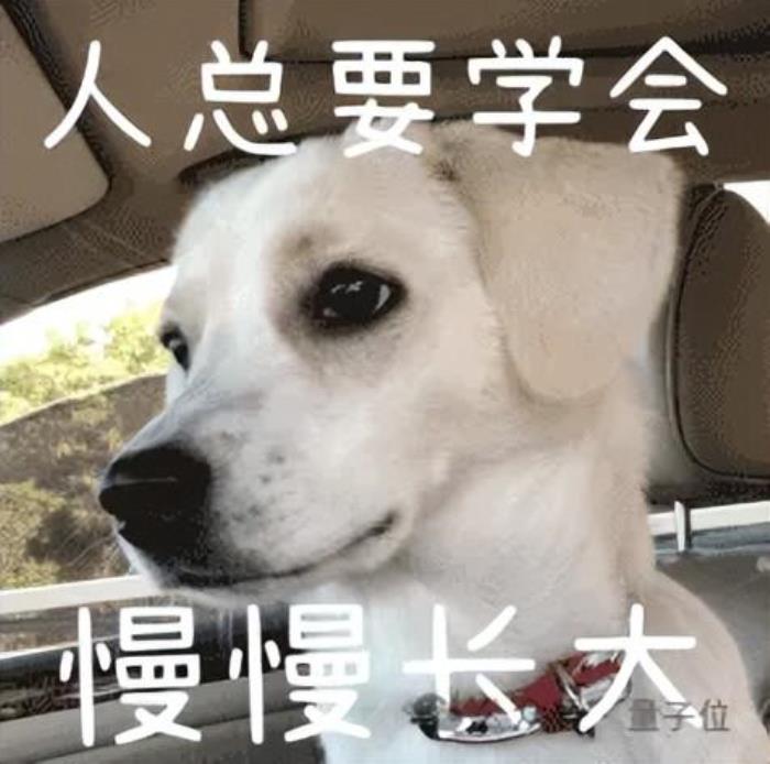 百川新模型冲顶中文测试基准!首款AI助手“百小应”同时发布,“最懂搜索”