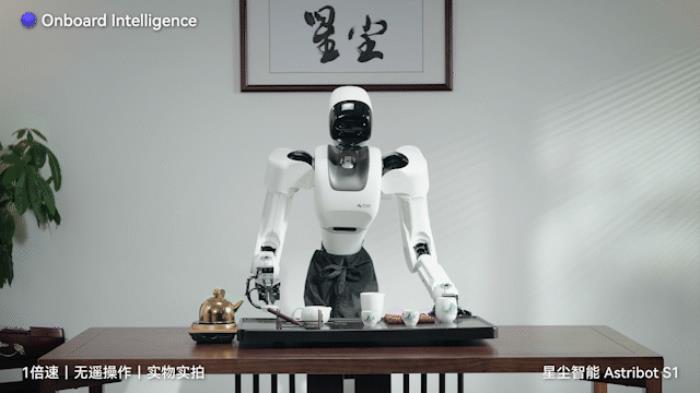 国产AI机器人好超前…弹琴泡茶打咏春,还能撸猫??