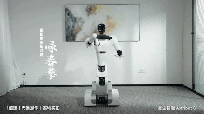 国产AI机器人好超前…弹琴泡茶打咏春,还能撸猫??