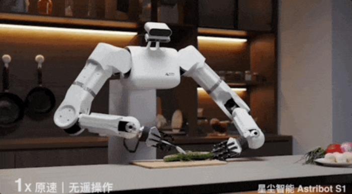 国产AI机器人好超前…弹琴泡茶打咏春,还能撸猫??