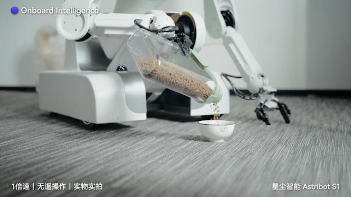 国产AI机器人好超前…弹琴泡茶打咏春,还能撸猫??