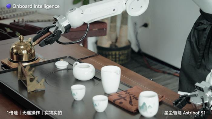国产AI机器人好超前…弹琴泡茶打咏春,还能撸猫??