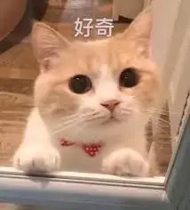 原来AI搜索,百度这么搞