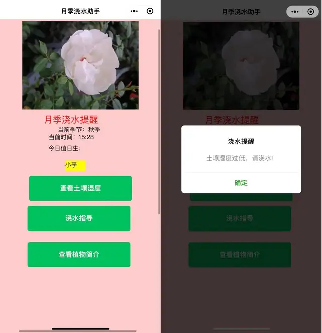 第一批“AI原住民”小学生,正在用大模型搞开发