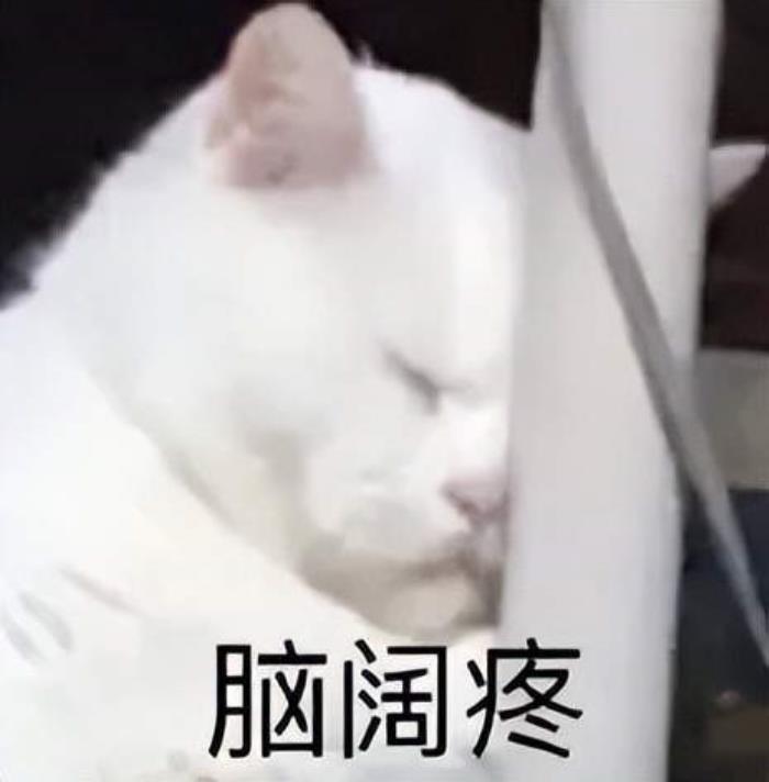 给我一张脸,视频背景随你换,林黛玉都被清华理工男玩废了|免费开放