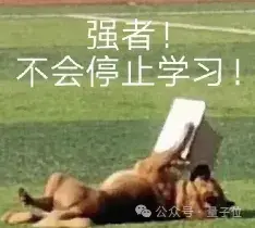 陶哲轩提前实测满血版o1:能当研究生使唤
