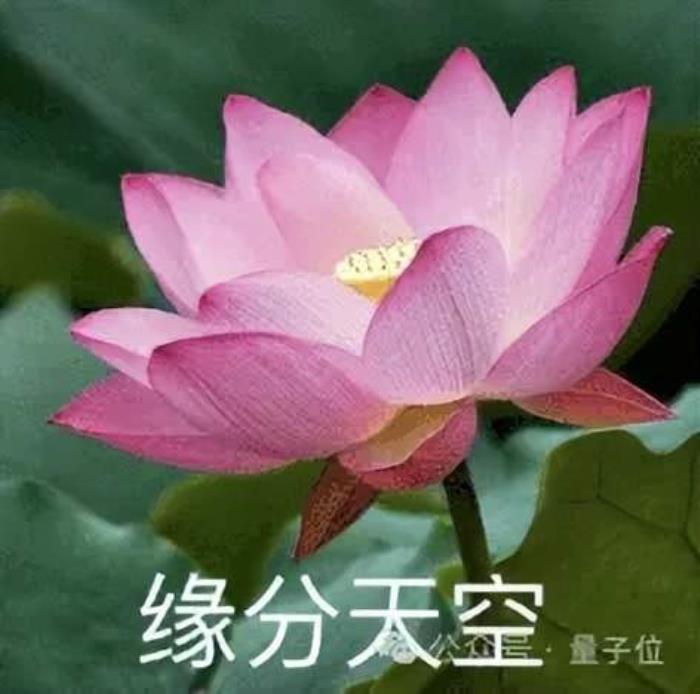 靠AI,2年时间大涨4倍!扒一扒你每天都用的这只小绿鸟