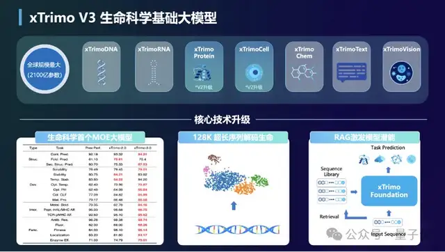 大模型重构生命科学!最大基础模型面世,解锁DNA超长序列,参数规模达2100亿