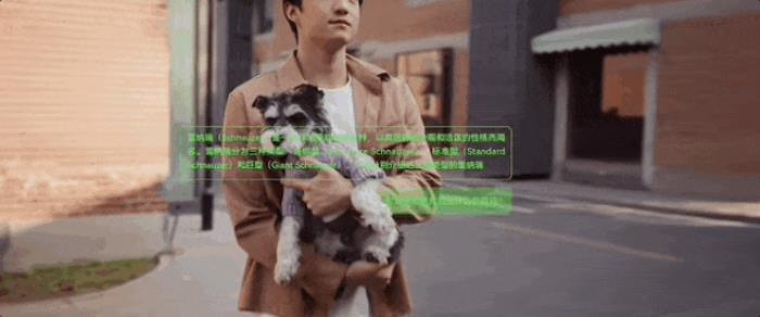 2499,AI浓度爆表!戴上这副眼镜,一句话点咖啡/实时翻译/AR导航全搞定