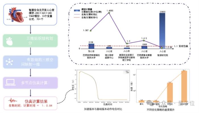 智源发布心脏模型!超实时仿真人体生理功能,速度提升180倍