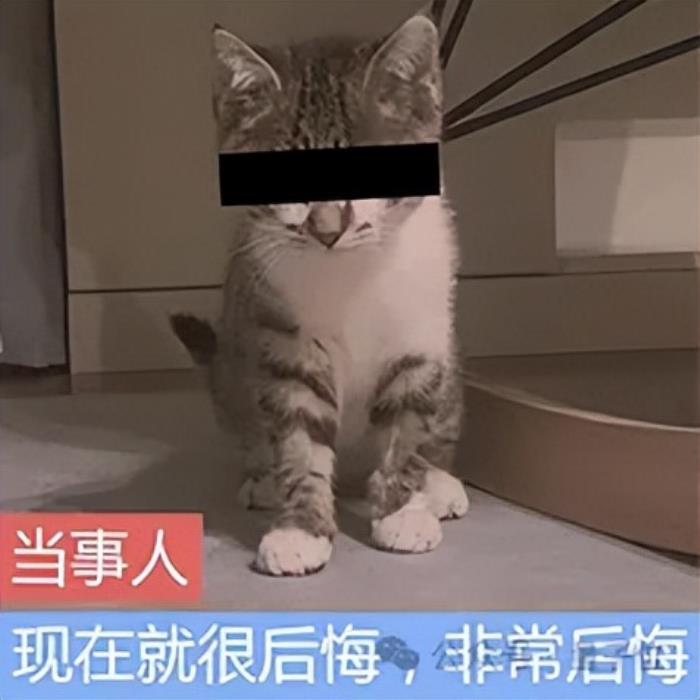 奥特曼披露ChatGPT周活3亿+,痛悔OpenAI无知选择“非营利”