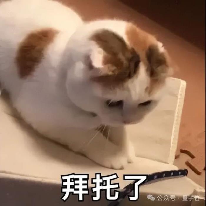 什么?程序员礼盒还自带大模型彩蛋,碰一下就可触发