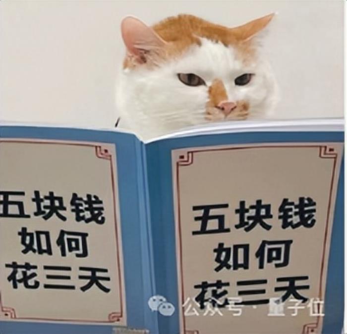 AI视频突飞猛进这一年,国产之光可灵AI笑到最后
