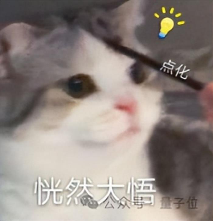 全球首次!国产AI开源端侧GPT-4o海外爆火,8B参数iPad就能跑