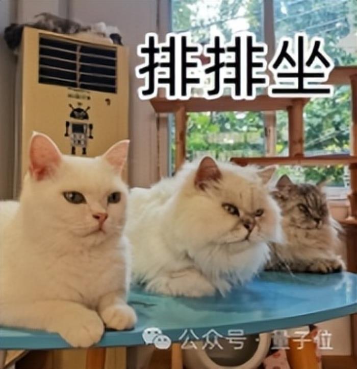 全球首次!国产AI开源端侧GPT-4o海外爆火,8B参数iPad就能跑