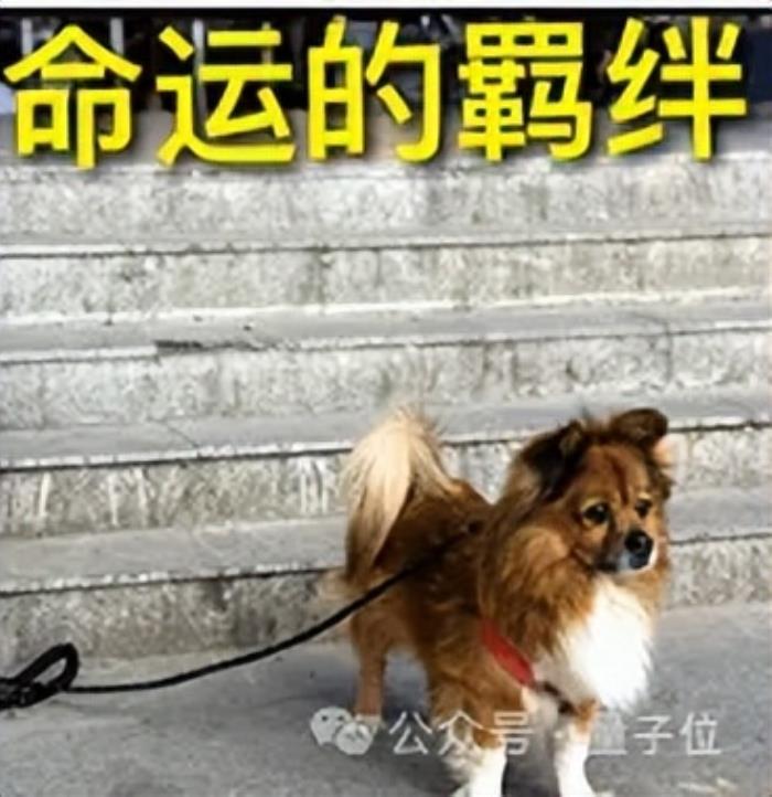 Kimi新论文再次“撞车”DeepSeek,都谈到了长文注意力机制