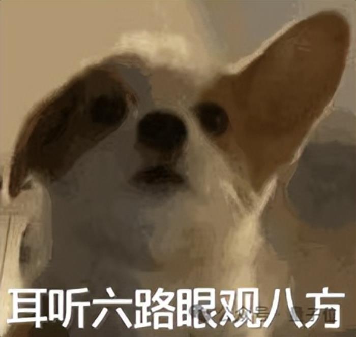 7B模型搞定AI视频通话,阿里最新开源炸场,看听说写全模态打通,开发者企业免费商用