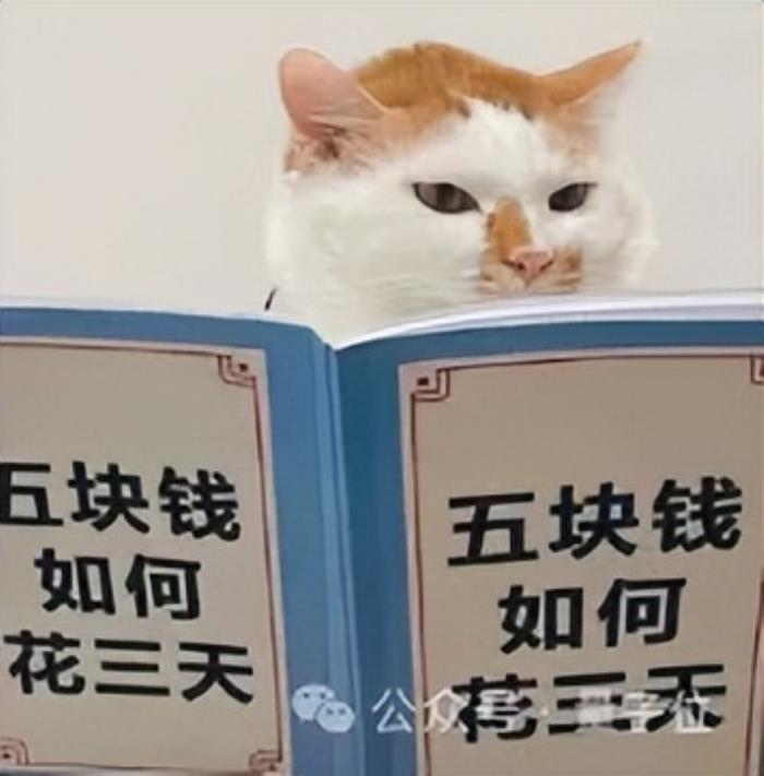 流体力学专用版DeepSeek，单GPU可跑，成本节约高达100倍