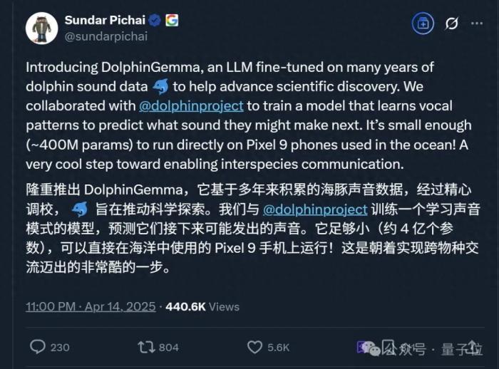 海豚语言被谷歌大模型破译!跨物种交流大门打开,哈萨比斯:下一个是狗