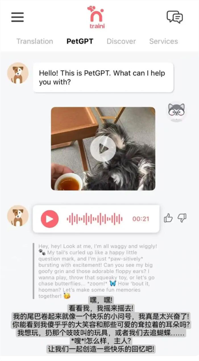 实现跨物种交流！AI人宠语言翻译软件大火：可检测宠物犬12种情绪