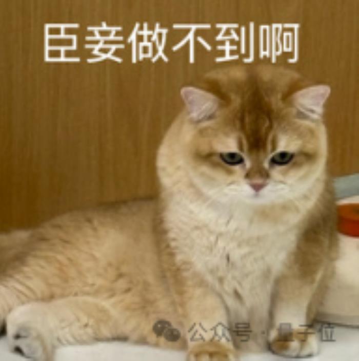 人形机器人半马冠军 为什么会选择全尺寸