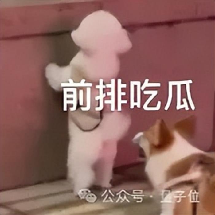 6个月估值翻倍!黄仁勋力荐的AI搜索公司欲开发浏览器取代Chrome