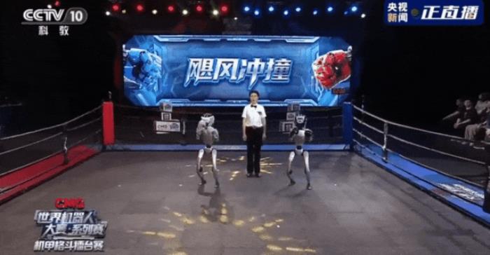 机器人杭州上演格斗赛!拳拳到肉,宇树CEO王兴兴:创造了人类历史新时刻